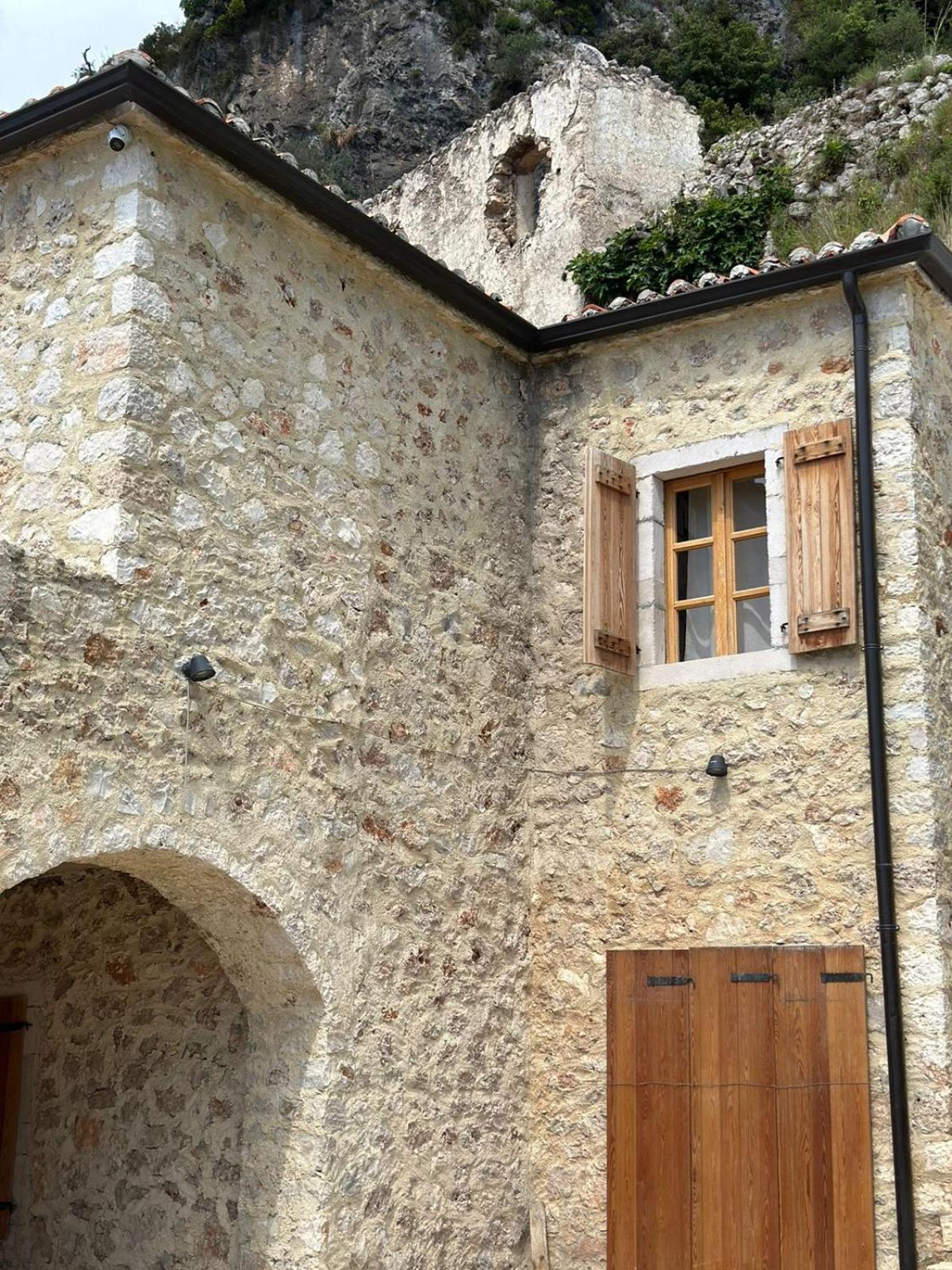Lion's Apartment